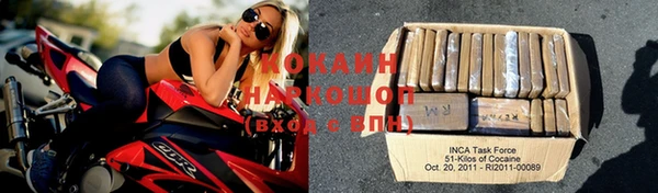 индика Новозыбков
