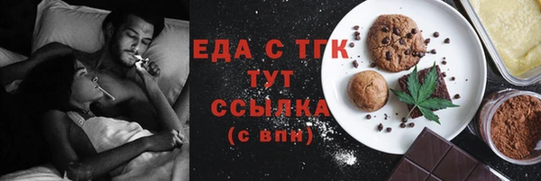 индика Новозыбков