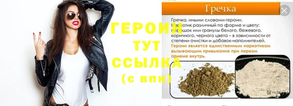 индика Новозыбков