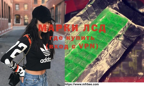 индика Новозыбков