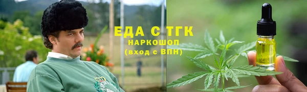 индика Новозыбков