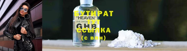 индика Новозыбков