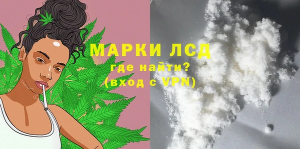индика Новозыбков
