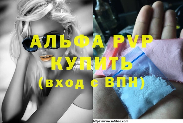 индика Новозыбков
