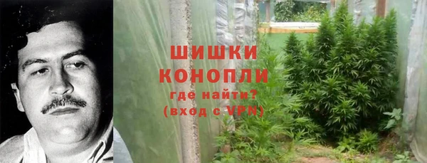 индика Новозыбков