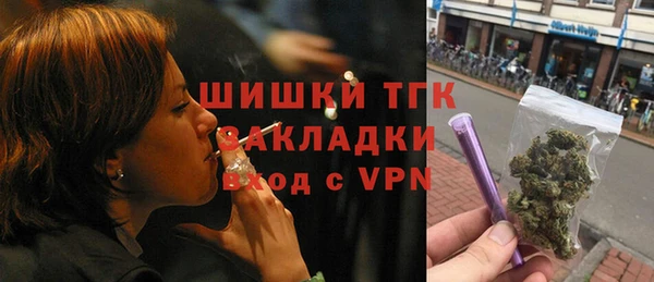 индика Новозыбков