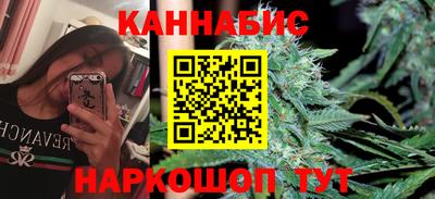 PSILOCYBIN Гатчина