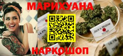 PSILOCYBIN Гатчина