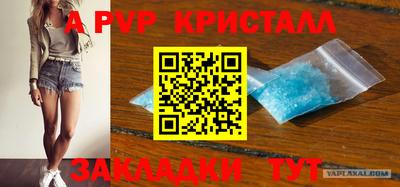 PSILOCYBIN Гатчина