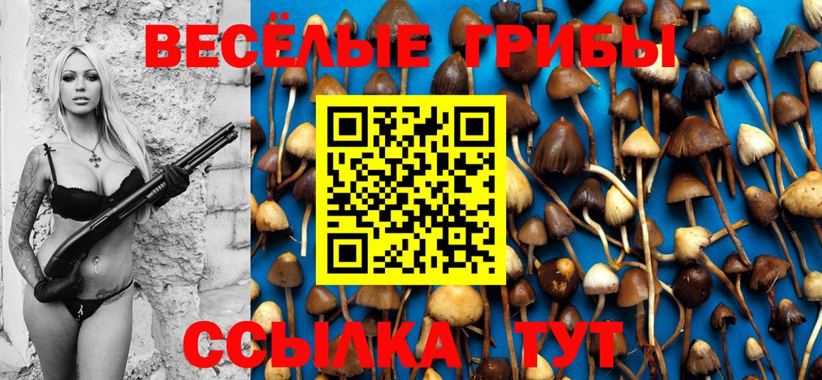 Новоуральск  Псилоцибиновые грибы Psilocybine cubensis  Вход с VPN 